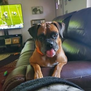 Meet your Posher, Janie